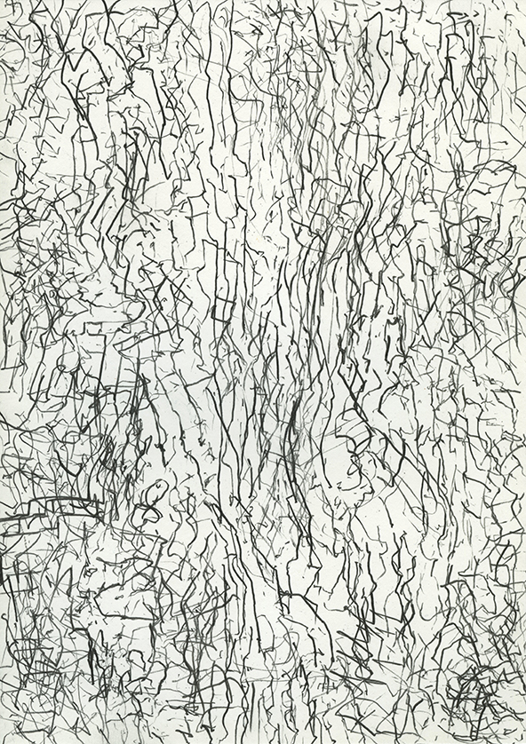 12-pack drawing #3, 2015 pencil on paper 29.7 x 21 cm